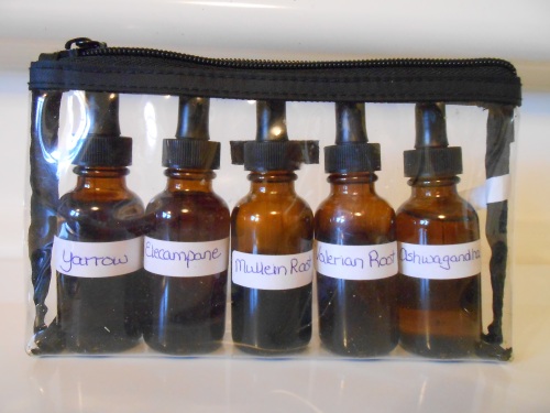 The tinctures I carry in my "medicine bag" or "first-aid kit"